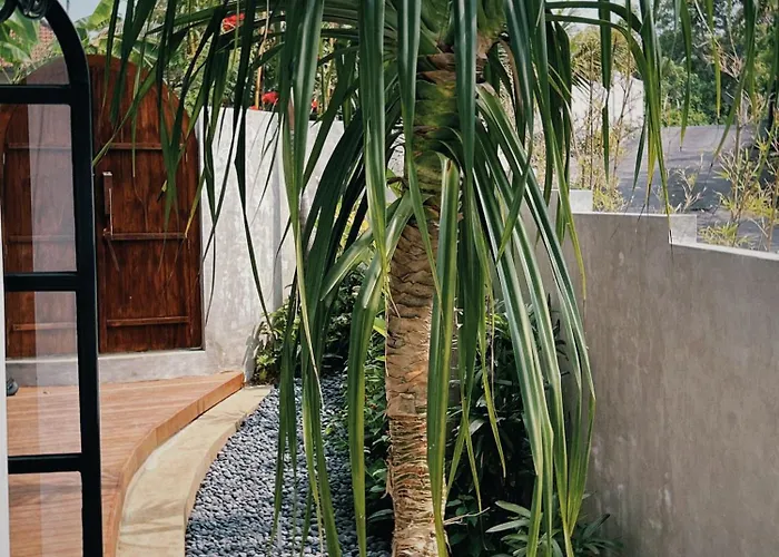 Villa Coconut Tribe Stunning Luxury 3br *