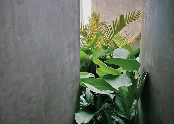 Coconut Tribe Stunning Luxury 3br Villa Uluwatu (Bali)